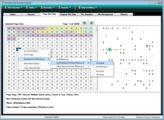 Raw Data view on Windows Search index analyzer