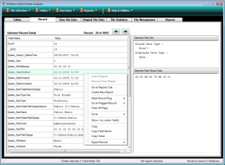 Record view on Windows Search index analyzer