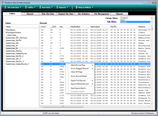 Tables view on Windows Search index analyzer